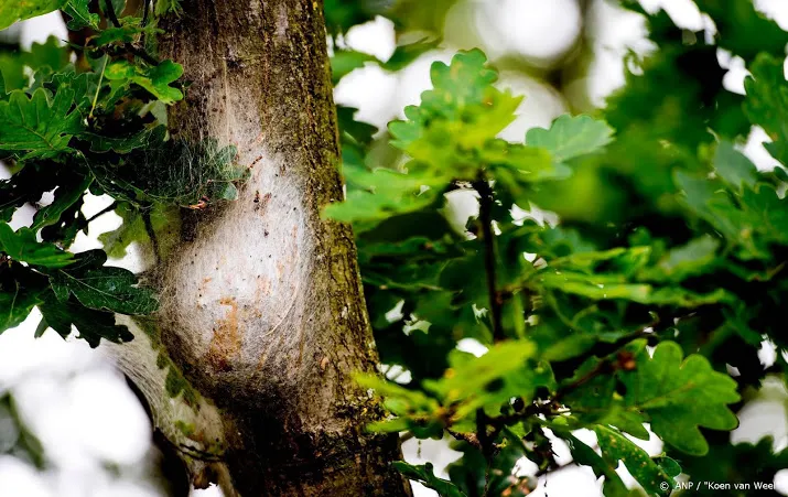 megaproject brengt nederlandse flora en fauna volledig in kaart