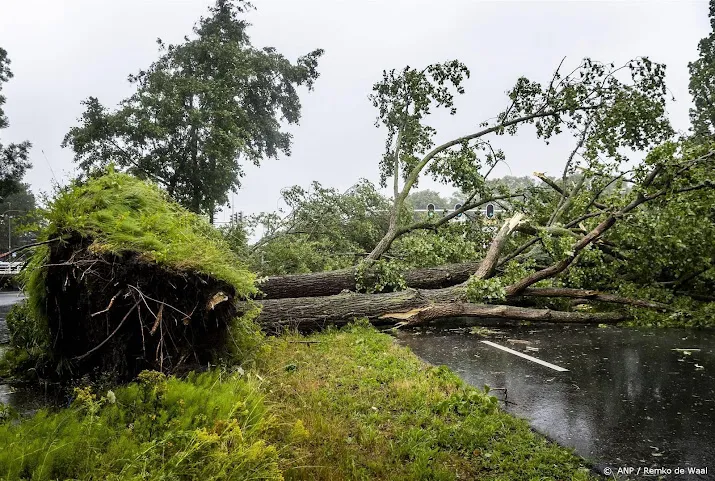 meldkamers druk met omgewaaide bomen en rondvliegende takken