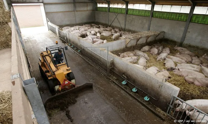 melkveehouder profiteert van inflatie schade voor plantenteler