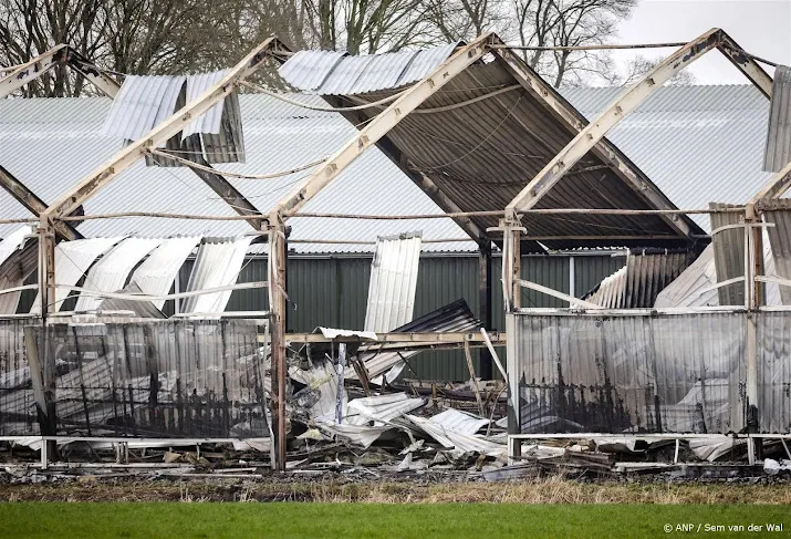 minder dieren omgekomen in 2023 bij stalbranden