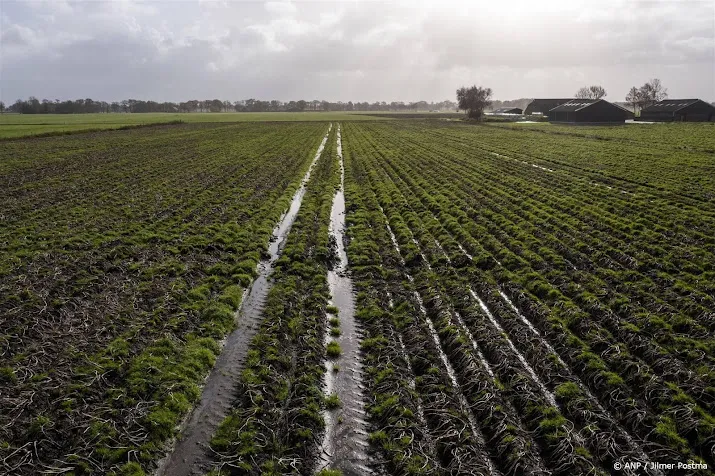 natte weersomstandigheden zaten aardappelboer dwars