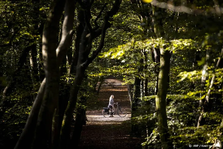 nederland steekt ruim 170 miljoen in akkoord over bossen