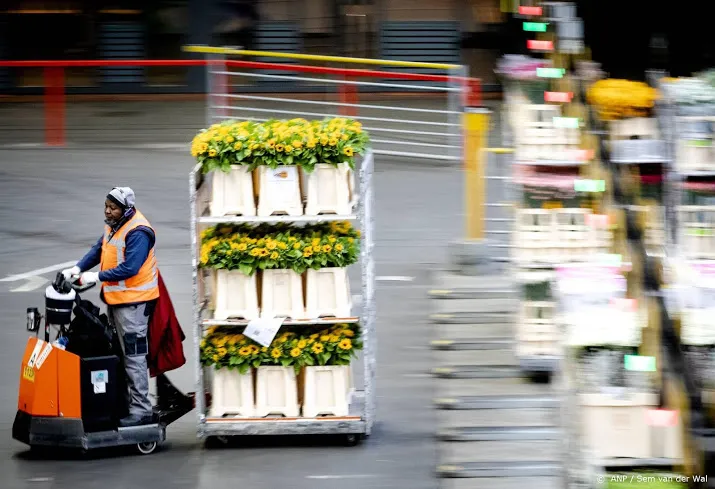 nederlandse bloemensector exporteerde meer dan voor corona