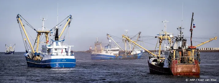 nederlandse kottervisserij draait fors verlies