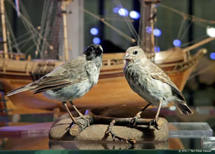 nederlandse studente bevestigt deel evolutietheorie darwin