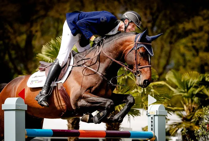 nederlandse titel voor springruiter schuttert