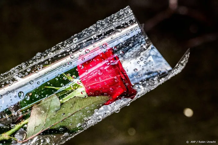 nfi ruim honderd onbekende doden kregen dit jaar hun identiteit