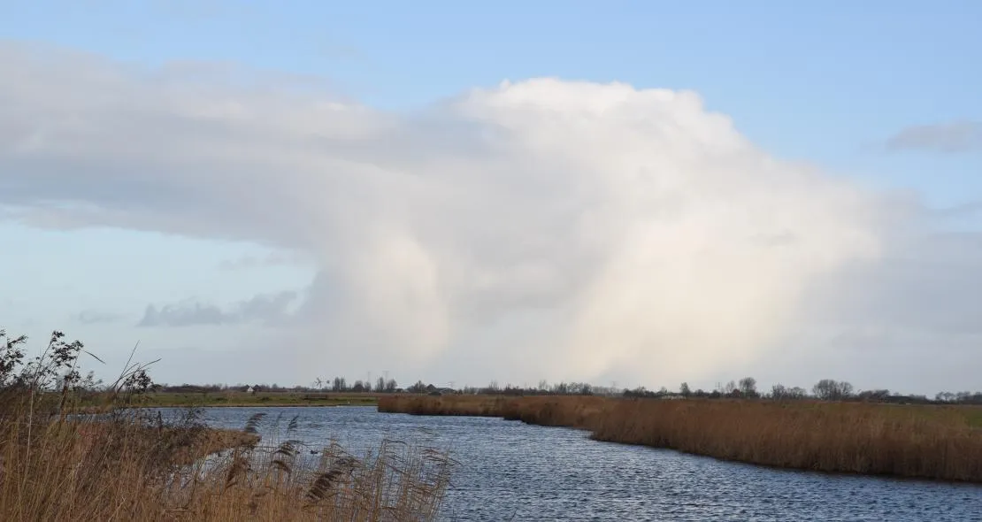 nico koller krommenieer woudpolder 2