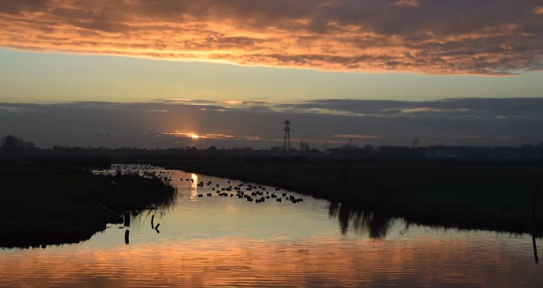 nico koller krommenieer woudpolder