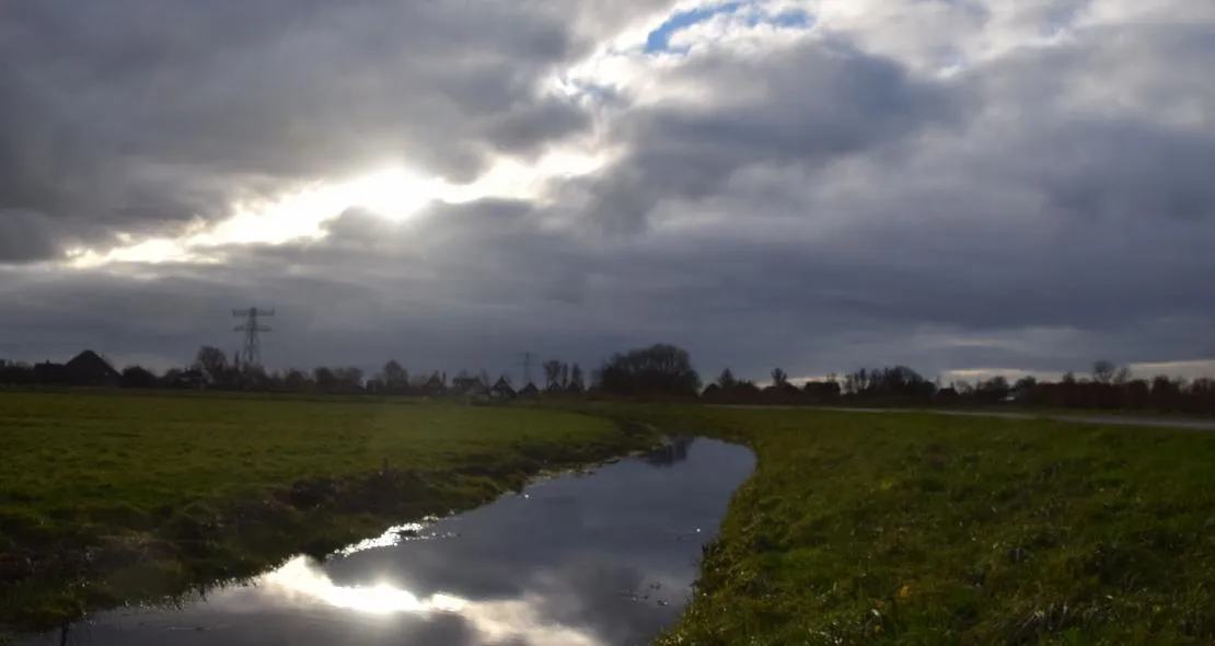 nico koller krommenieer woudpolder