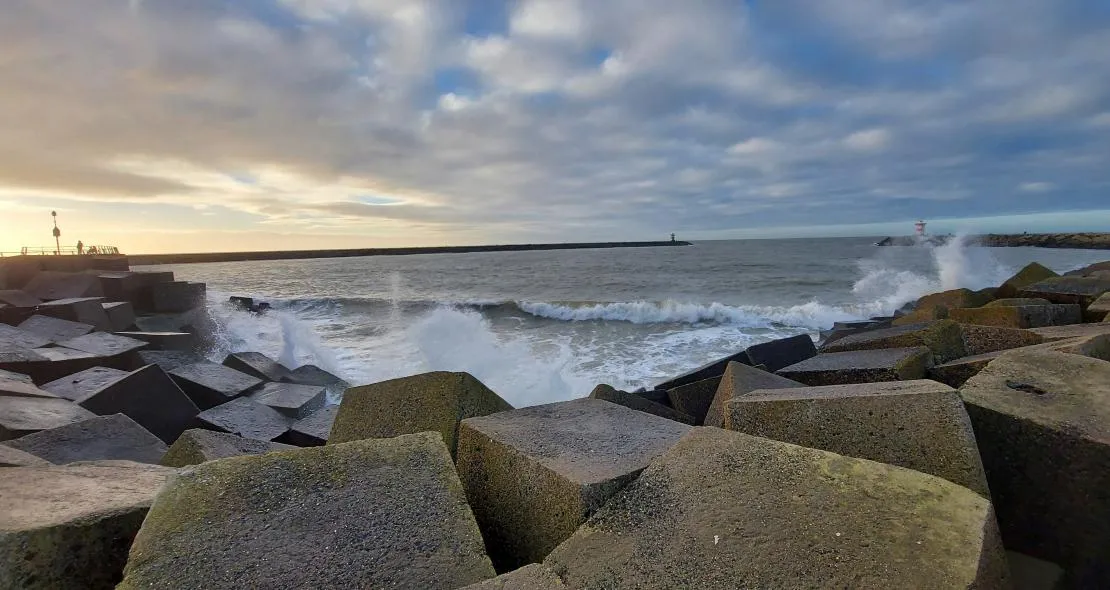 nicol taal scheveningen