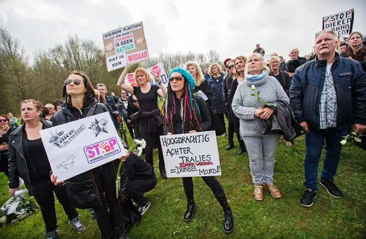 nieuw protest tegen beleid oostvaardersplassen