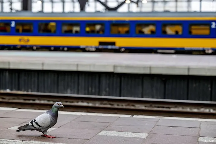 ns personeel staakt in noord holland gevolgen landelijk voelbaar