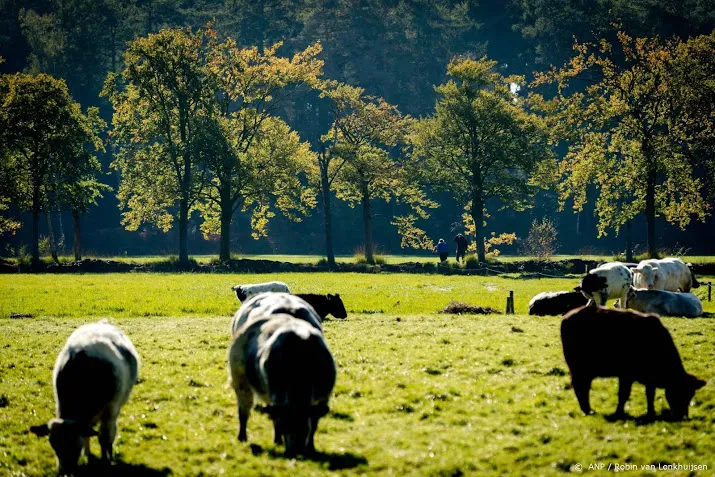 nvwa greep niet in bij dierenleed door extreme hitte