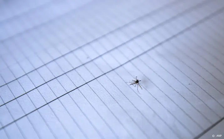 nvwa vindt weer tijgermuggen bij bandenbedrijf in assen