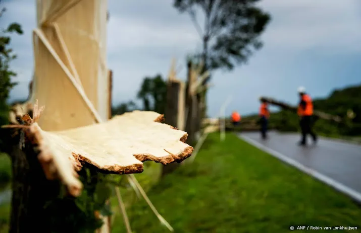 omgewaaide bomen en bieten op de weg door windstoten