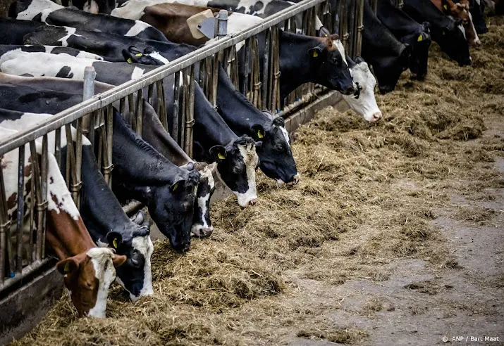 onderzoek dierenwelzijn melkkoeien minder snel verbeterd