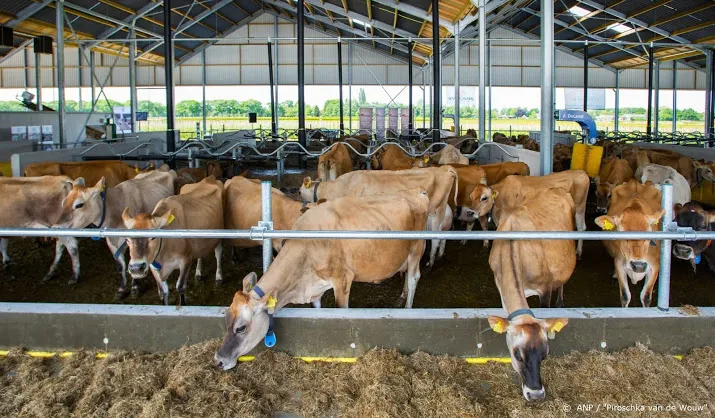 onderzoek greenpeace duurzaam boeren levert winst op
