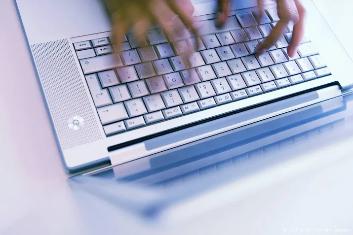 onderzoek nederlander shopt dit jaar minder online