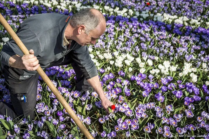 onderzoekers bezorgd over inzaaien met bloemenmengsels