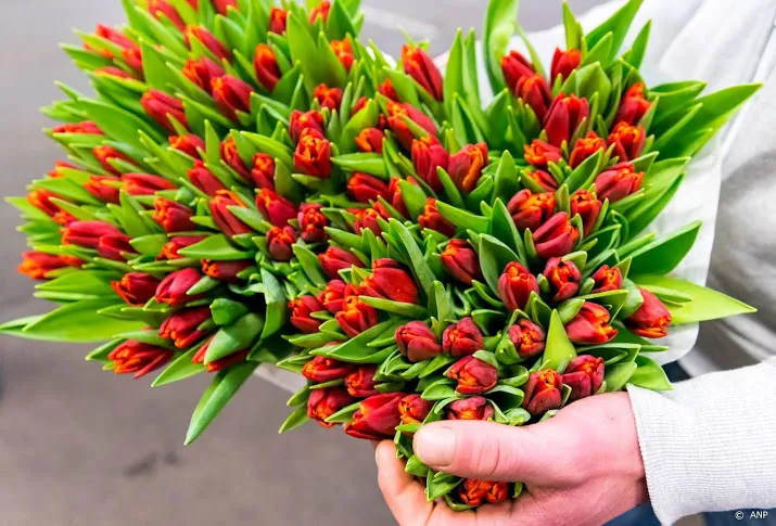 onlinebloemenverkoop breekt records door coronacrisis