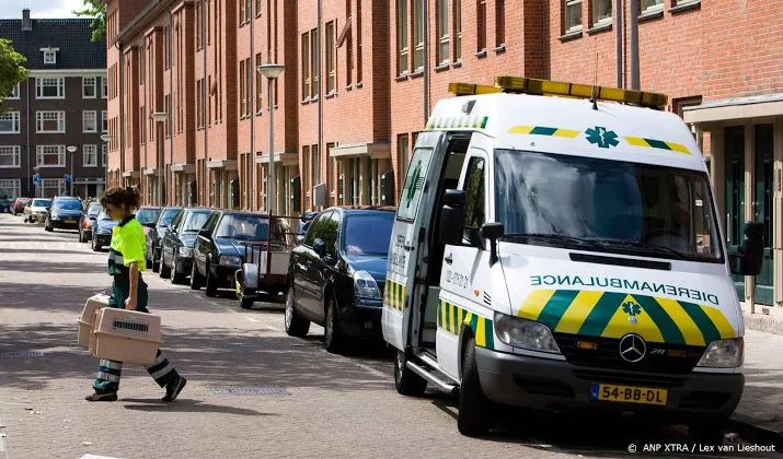 ontsnapte savannah kat haarlem gevangen