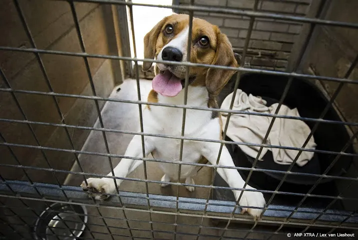 oproep dierenbescherming voor steun wet aanpak dierenmishandeling