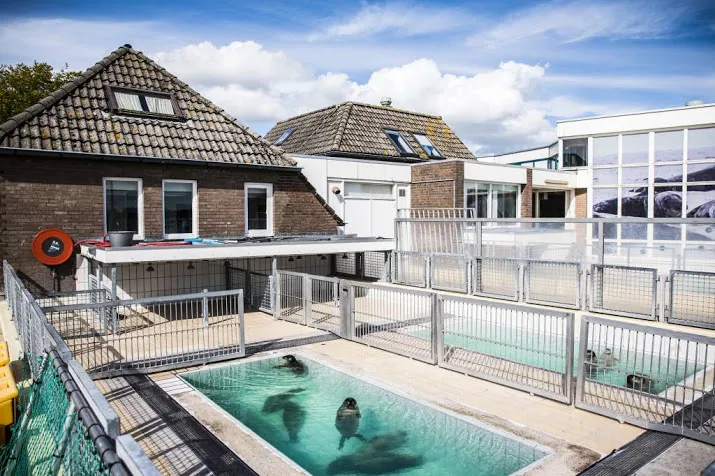 opvangcentra zeehonden we blijven nodig