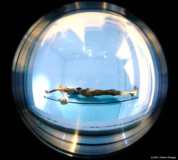 otzi gastheer haagse museumnacht