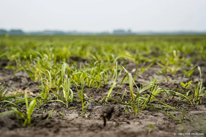 pbl ingrijpende veranderingen nodig om biodiversiteit te redden