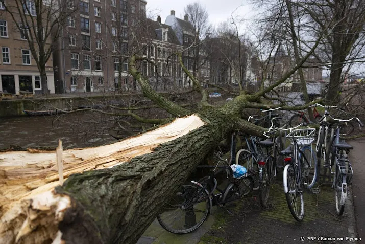 persoon overleden die onder omgevallen boom kwam in amsterdam