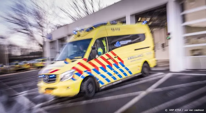 persoon overleden door boom op auto in diemen