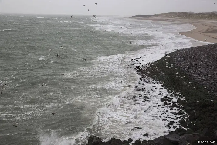 pfas aangetroffen in zeeschuim langs nederlandse kust