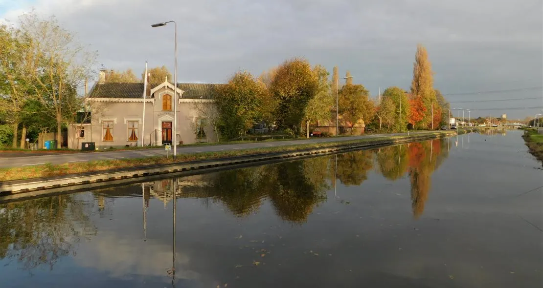 pia legerstee de vries den hoorn