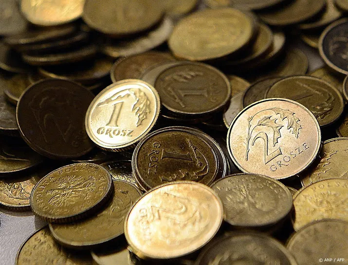poolse zloty leek even minder waard door foutje google