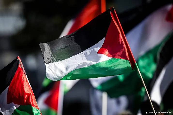 pro palestijns protest bij internationaal strafhof in den haag