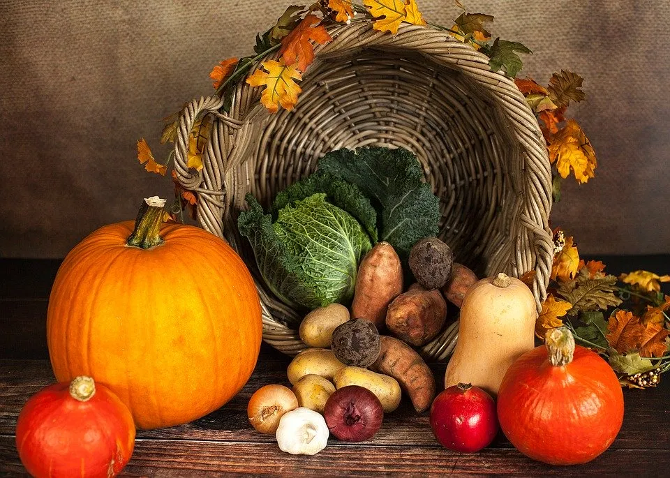 pumpkin 1768857 960 720