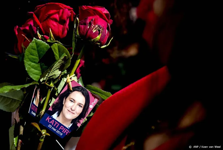 pvda en europarlementarier piri doelwit van ddos aanval