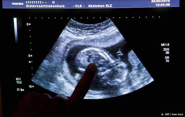 rechtsfilosoof fundamenteel debat nodig over embryo onderzoek