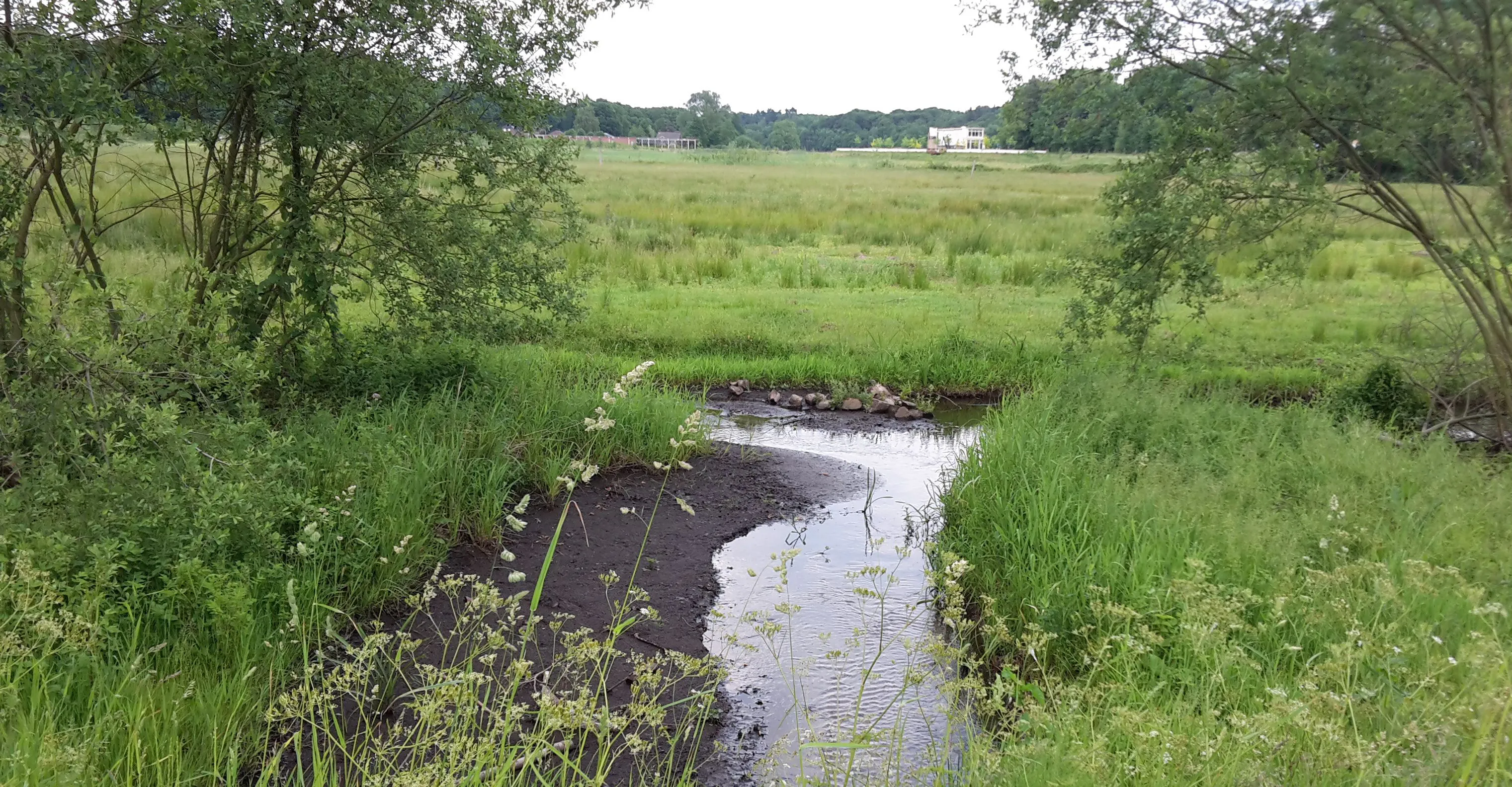 renkum natura2000 gebieden