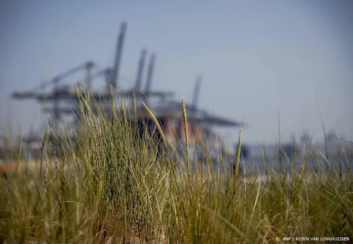 rotterdam start opspuiten land voor groene bedrijven