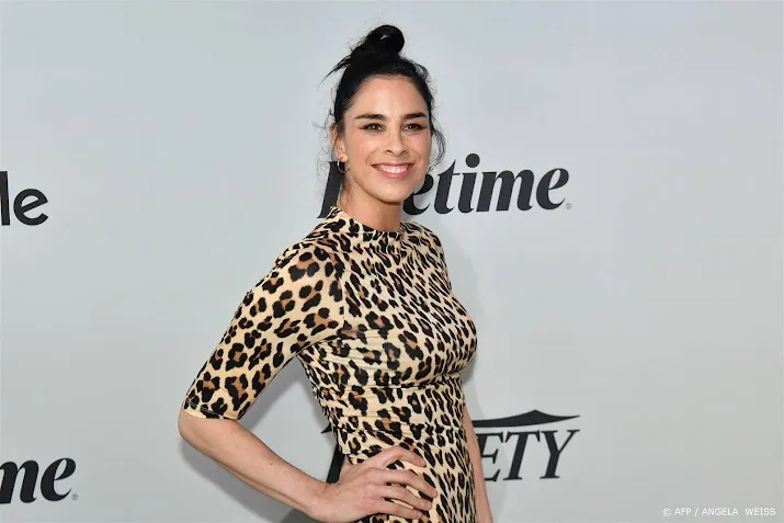 sarah silverman klaagt openai en moederbedrijf facebook aan