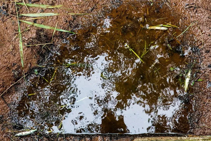 schap treedt op tegen water pikken