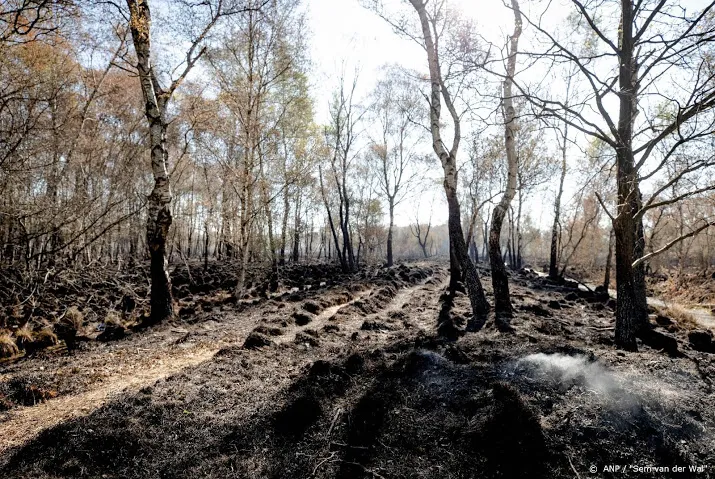 smeulende peelbrand aangewakkerd door harde wind