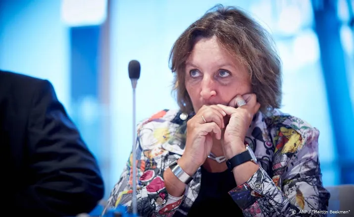 spies mag geld uit bijverdiensten houden