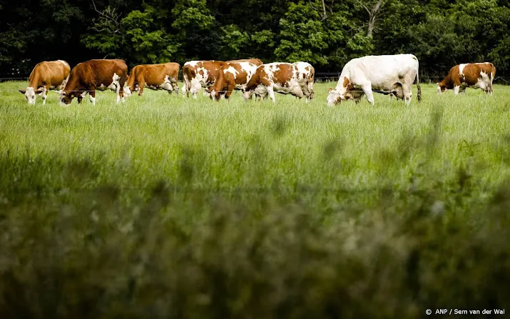 stikstofnormen worden strenger natuur blijkt kwetsbaarder