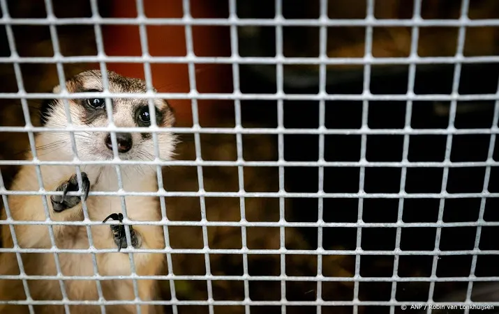 stop handel in wilde dieren om volksgezondheid te beschermen