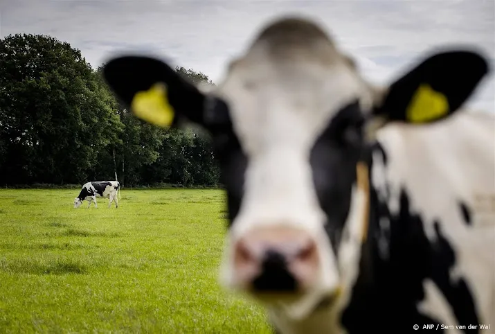 subsidies stikstofaanpak noordelijke provincies volledig besteed
