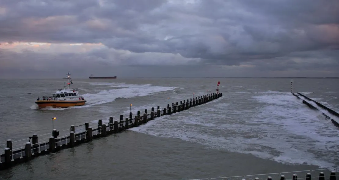 tanja van eenennaam vlissingen
