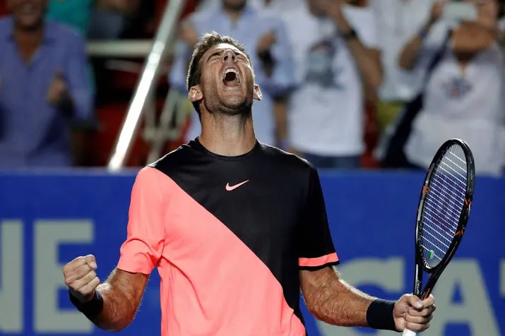 tennisser del potro naar finale